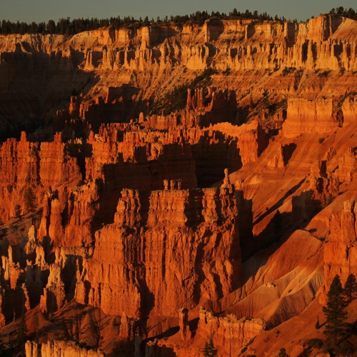 I Am the Grand Canyon